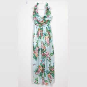 Rosa Clothing Dress Womens XL Blue Berry Fruit Sleeveless Maxi Tie Straps NWT